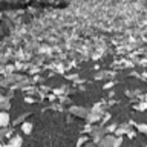 Meet your Posher, Libby